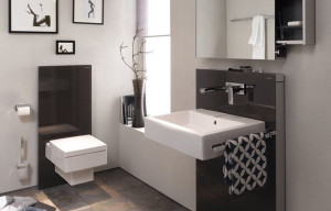 GEBERIT Bathroom Emco Monolith umbra